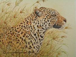 Artwork by Jayne Netley Mayhew
