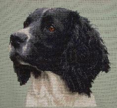 Stitches used: Whole Cross Stitch.